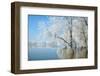 Winter Landscape-geanina bechea-Framed Photographic Print