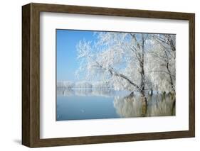 Winter Landscape-geanina bechea-Framed Photographic Print