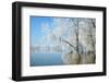 Winter Landscape-geanina bechea-Framed Photographic Print