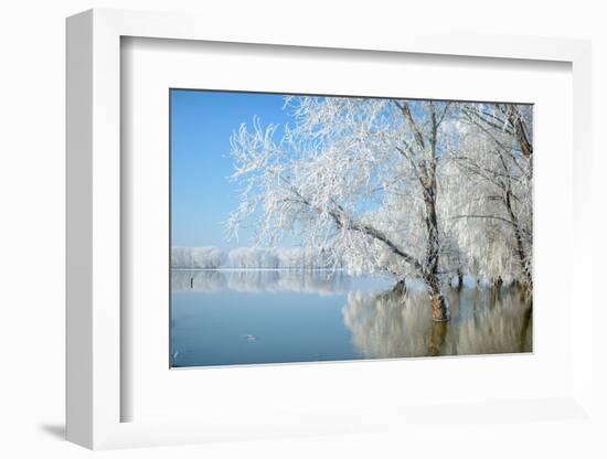 Winter Landscape-geanina bechea-Framed Photographic Print