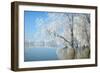 Winter Landscape-geanina bechea-Framed Photographic Print