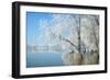 Winter Landscape-geanina bechea-Framed Photographic Print