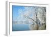 Winter Landscape-geanina bechea-Framed Photographic Print