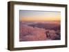 Winter Landscape-WizData-Framed Photographic Print