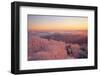 Winter Landscape-WizData-Framed Photographic Print