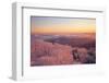 Winter Landscape-WizData-Framed Photographic Print