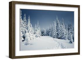 Winter Landscape-Kotenko-Framed Photographic Print