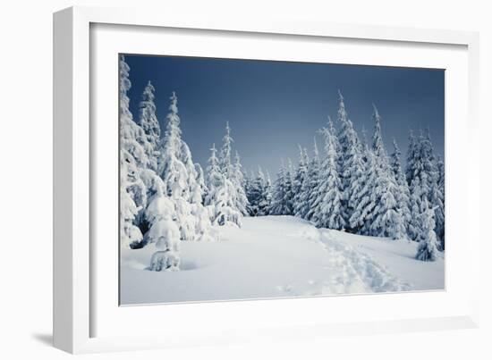 Winter Landscape-Kotenko-Framed Photographic Print