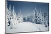 Winter Landscape-Kotenko-Mounted Photographic Print