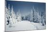 Winter Landscape-Kotenko-Mounted Photographic Print