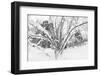 Winter Landscape-Leonid Ikan-Framed Photographic Print