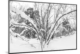 Winter Landscape-Leonid Ikan-Mounted Photographic Print
