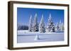 Winter Landscape-JanPietruszka-Framed Photographic Print