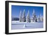 Winter Landscape-JanPietruszka-Framed Photographic Print