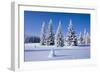 Winter Landscape-JanPietruszka-Framed Photographic Print