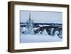 Winter Landscape-gadag-Framed Photographic Print