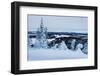 Winter Landscape-gadag-Framed Photographic Print