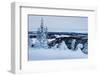 Winter Landscape-gadag-Framed Photographic Print