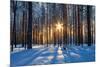 Winter Landscape-Yanika-Mounted Photographic Print