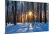 Winter Landscape-Yanika-Mounted Photographic Print