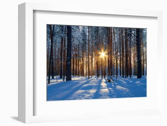 Winter Landscape-Yanika-Framed Photographic Print