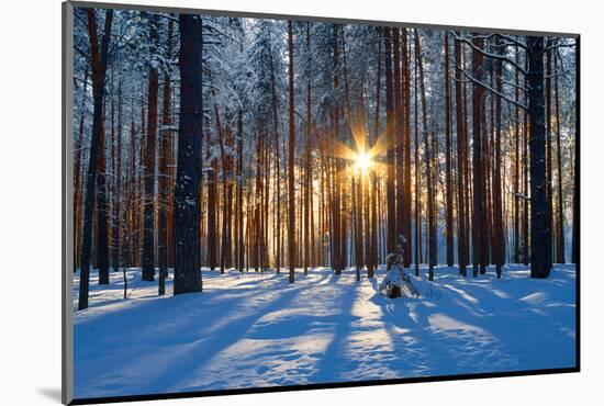 Winter Landscape-Yanika-Mounted Photographic Print