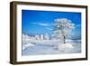 Winter Landscape-Yanika-Framed Photographic Print