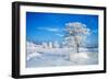 Winter Landscape-Yanika-Framed Photographic Print