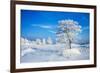 Winter Landscape-Yanika-Framed Photographic Print