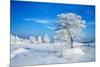 Winter Landscape-Yanika-Mounted Photographic Print