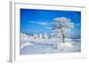 Winter Landscape-Yanika-Framed Photographic Print