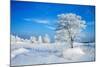 Winter Landscape-Yanika-Mounted Photographic Print