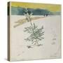 Winter Landscape-Carl Larsson-Stretched Canvas