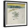 Winter Landscape-Carl Larsson-Framed Giclee Print