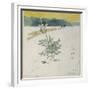 Winter Landscape-Carl Larsson-Framed Giclee Print