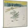 Winter Landscape-Carl Larsson-Mounted Giclee Print