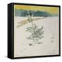 Winter Landscape-Carl Larsson-Framed Stretched Canvas