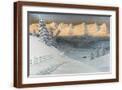 Brown Frame