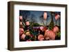 Winter Lantern Festival, Dancing Flowers, 2018-Anthony Butera-Framed Photographic Print