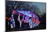 Winter Lantern Festival, Floral Passage, 2018-Anthony Butera-Mounted Photographic Print