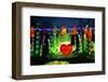 Winter Lantern Festival, Frog and Heart, 2018-Anthony Butera-Framed Photographic Print