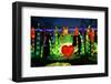 Winter Lantern Festival, Frog and Heart, 2018-Anthony Butera-Framed Photographic Print