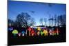 Winter Lantern Festival, Mushrooms, 2018-Anthony Butera-Mounted Photographic Print