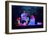 Winter Lantern Festival, Princess, 2018-Anthony Butera-Framed Photographic Print