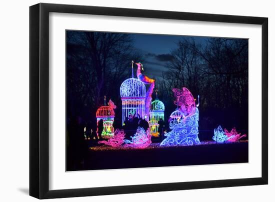 Winter Lantern Festival, Princess, 2018-Anthony Butera-Framed Photographic Print