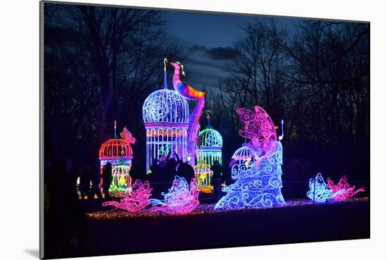 Winter Lantern Festival, Princess, 2018-Anthony Butera-Mounted Photographic Print