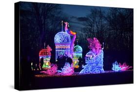 Winter Lantern Festival, Princess, 2018-Anthony Butera-Stretched Canvas