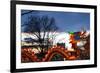 Winter Lantern Festivall, Dragon, 2018-Anthony Butera-Framed Photographic Print