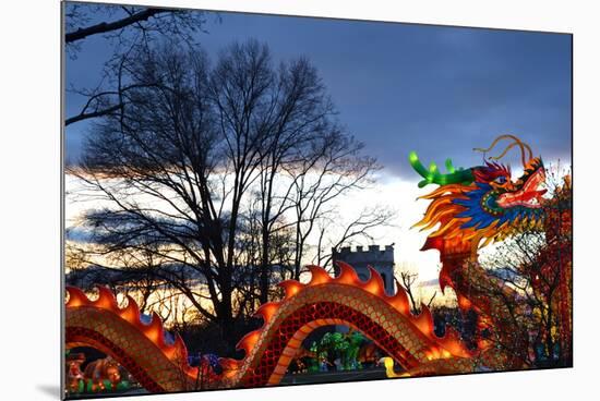 Winter Lantern Festivall, Dragon, 2018-Anthony Butera-Mounted Photographic Print