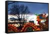 Winter Lantern Festivall, Dragon, 2018-Anthony Butera-Framed Stretched Canvas